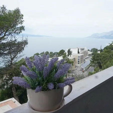 Nessy Baška Voda