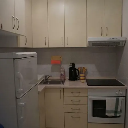 Apartment Nessy *